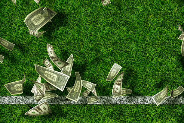 Customer Support in Online Betting Games: What to Expect